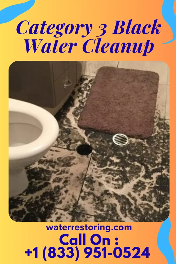 Category 3 Black Water Cleanup in Fairview, NY