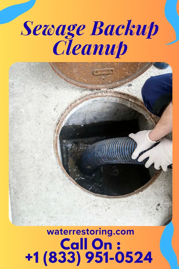 Sewage Backup Cleanup in Fairview, NY